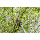 Screenshot 2023 09 26 113844