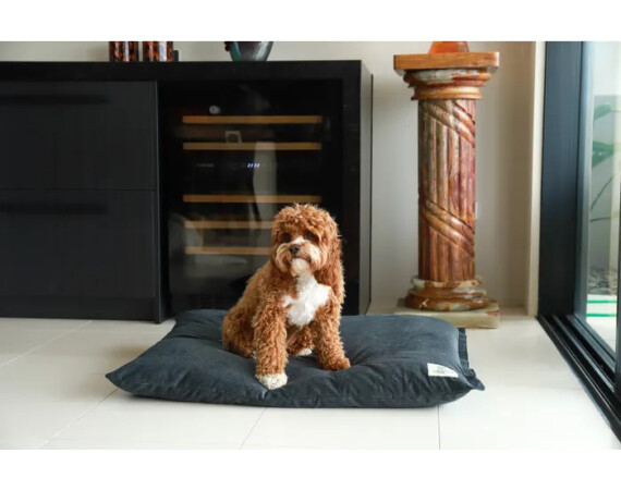 swag med darkgrey1 1