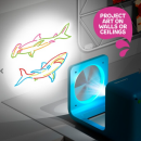 Screenshot 2025 05 29 132217