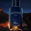 Screenshot 2025 10 29 135412