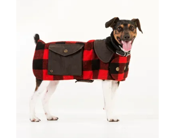 Screenshot 2025 10 30 111537 v3