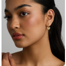 Screenshot 2026 04 14 132732